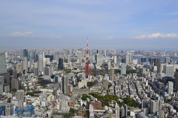 Obraz premium Tokyo Cityscape Photo