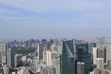 Fototapeta na wymiar Tokyo Cityscape Photo