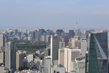 Obraz na płótnie Canvas Tokyo Cityscape Photo