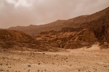 Israeli desert