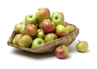 Green apples （china guoguang apple） isolated on white background