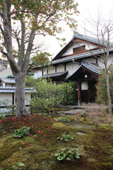 buddhist temple (Entoku-in) in Kyoto (Japan)
