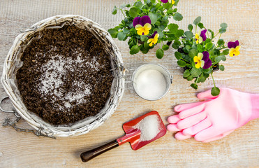 Water gel granules absorb water and stored water is available to release gradually to plant roots...