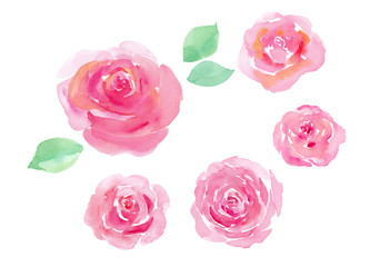 ピンクのバラ５種の水彩イラスト（トレースベクター）