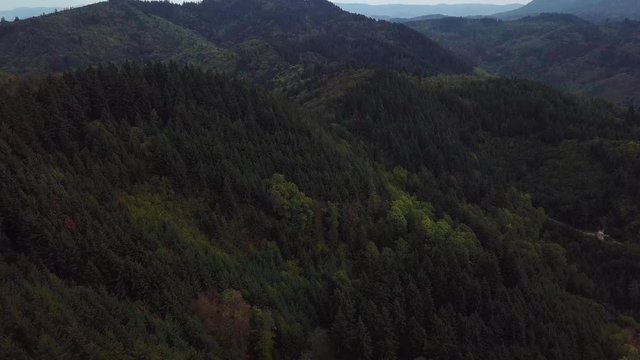 Drone Aerial of Black Forest Schwarzward Germany With Evergreen Trees on Top of Hills and Mountains 4k