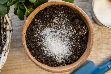 Water gel granules absorb water and stored water is available to release gradually to plant roots as needed gives healthier growing environment. Prevents over and under watering concept, studio shot.