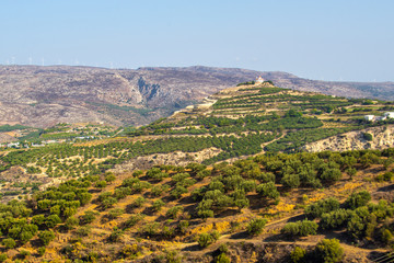 Fototapeta na wymiar ?retan Landscape with lots of olive trees over the rolling hills, Crete, Greece and churches on top of the hills
