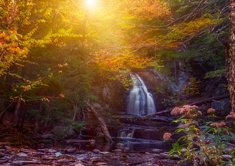 Waterfall in a shady autumn forest.  USA. Maine. Portland.