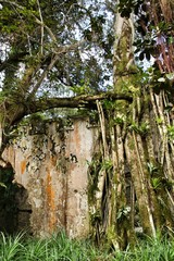 Ancient stone ruins in a leafy garden of Sintra