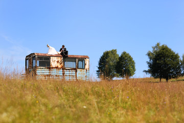 Fototapete bei efototapeten.de bestellen