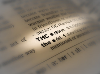 A highlighted word in a page that reads: THC