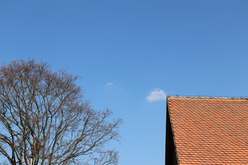 Natur