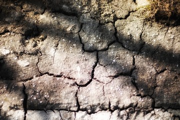 Sun rays on cracked earth