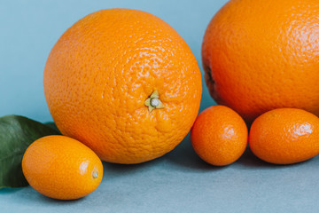 fresh oranges with kumquat andlemon leaves on a blue background. selective focus.