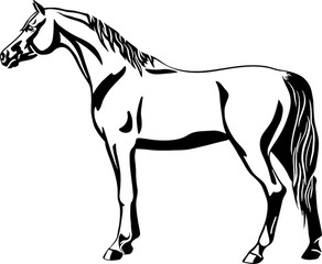 Logo of a horse standing still, side view