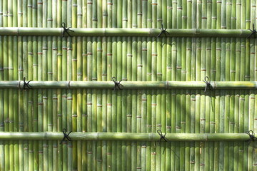 竹 - Japanese fresh green bamboo wall background