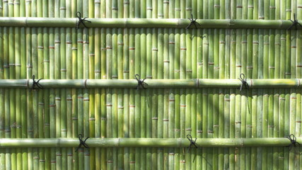 竹 - Japanese fresh green bamboo wall background