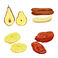 Vector design of fruit and dried  sign. Set of fruit and food  vector icon for stock.