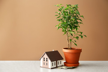 Plant, money and figure of house on table