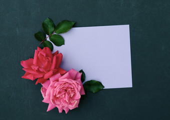 Pink roses flat lay with purple note card, copy space for mothers day holiday or wedding floral arrangement.
