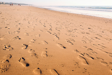 footprints in the wet sand of the beach