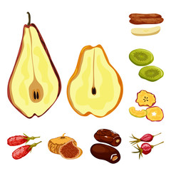 Vector design of fruit and dried  sign. Collection of fruit and food  stock symbol for web.