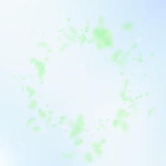 Green flower petals falling down. Magnetic romanti