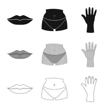Vector design of body and part icon. Collection of body and anatomy stock symbol for web.