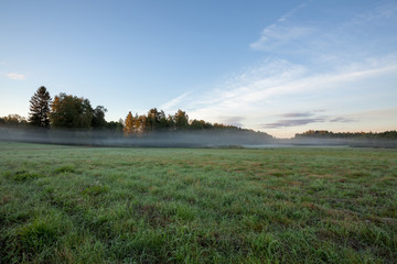 Meadow landscape with mist at dawn