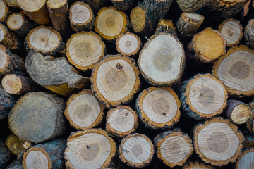 Texture of stacked firewood
