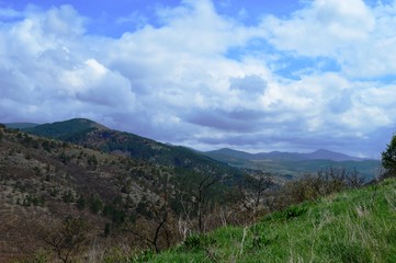 landscape in spring colors