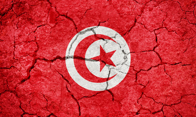 Republic of Tunisia flag