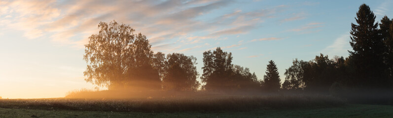 Obraz na płótnie Canvas Meadow landscape with mist at dawn