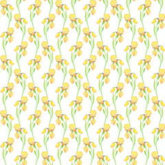 Yellow irises seamless pattern, watercolor illustration of flowers.