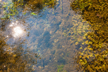 Naturalistic oasis Fontane Bianche in Italy