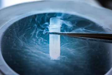 Cryopreservation of test tube on liquid nitrogen, a liquid nitrogen bank containing sperm and eggs...