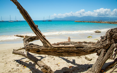 Panorama plage de la Datcha Les Gosier Grande Terre Guadeloupe France