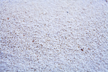 gravier sable texture blanc