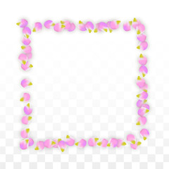 Vector Realistic Pink Petals Falling on Transparent Background.  Spring Romantic Flowers Illustration. Flying Petals. Sakura Spa Design. Blossom Confetti.