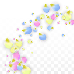 Vector Realistic Colorful Petals Falling on Transparent Background.  Spring Romantic Flowers Illustration. Flying Petals. Sakura Spa Design. Blossom Confetti. Design Elements for Wedding Decoration.