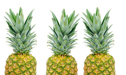 Fototapeta premium Three fresh pineapples on an isolated white background