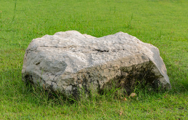 Decorate the lawn with a large white stone beautiful.
