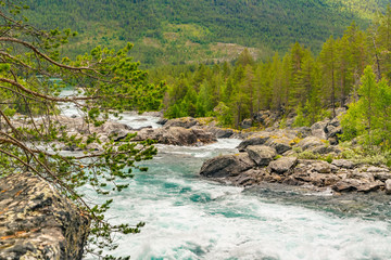 Mountain wild river valley landscape. Mountain river flowing through the green forest. Panoramic view of the mountain river. Raging mountain river in green valley. Norway nature and travel background.