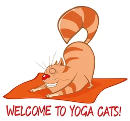 Küchenrückwand glas motiv Essential Yoga Poses for Cats. Vector Illustration of a Cute Cat. Cartoon Character  © liusa