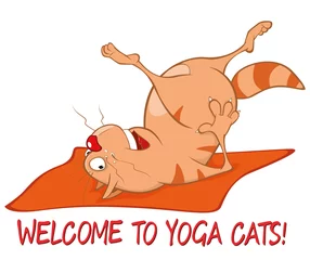 Foto op Plexiglas Essential Yoga Poses for Cats. Vector Illustration of a Cute Cat. Cartoon Character  © liusa