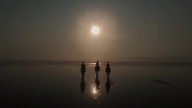 Chevaux Soleils Couchant