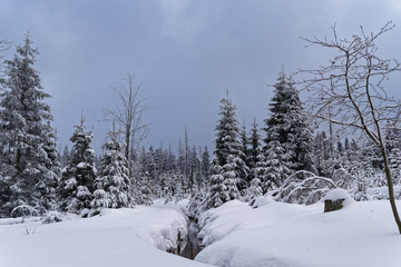 Obraz premium Winter landscape in Harz mountains national park