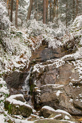 Fototapeta na wymiar snow waterfall winter forest