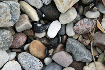 Pebble and black shells on the beach texture