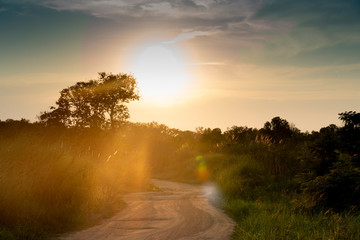 Soil roads is curve in upcountry with nature grass and tree two beside and Golden light in the evening.